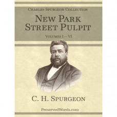 New Park Street Pulpit